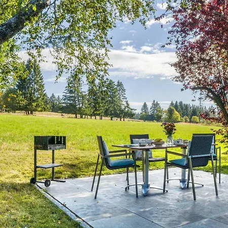 Schluchseeoase Schluchsee