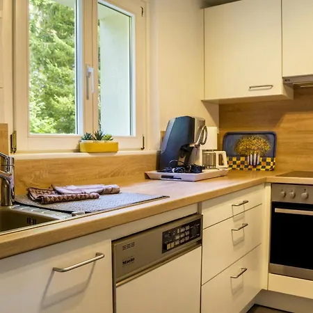 Schluchseeoase Appartement Schluchsee